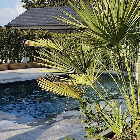 Pine Cottage- 5 Minutes Francorchamps - Charme -Piscine-Calme-Jardin Sart  Exterior foto