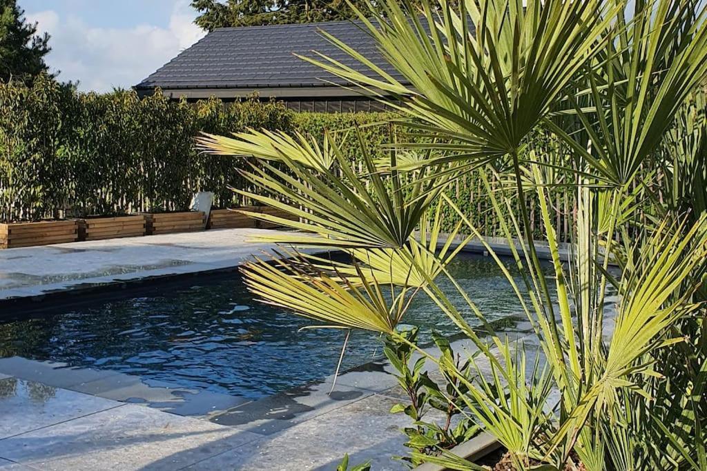 Pine Cottage- 5 Minutes Francorchamps - Charme -Piscine-Calme-Jardin Sart  Exterior foto
